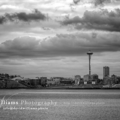 Photo, Photography, Image, Print, Canvas, Metal, Black and White, B&W, Skyline, City, Space Needle