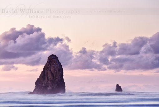 Part of Haystack Rock in Oregon, here are two of the outcroppings.
