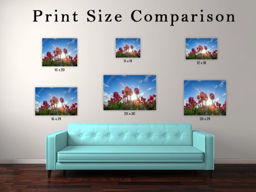 David Williams Photography Print Size Comparison